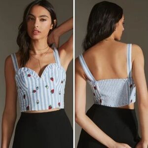 Maeve by Anthropologie Striped Strawberry Crop Top (Size 4)